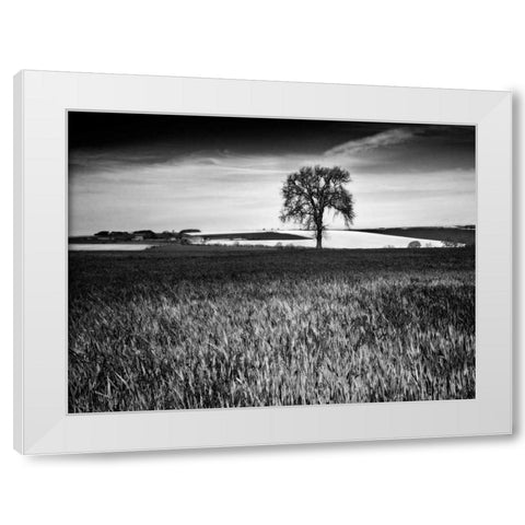 Field Texture White Modern Wood Framed Art Print by Henson, Martin