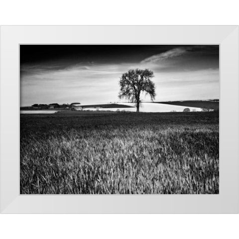 Field Texture White Modern Wood Framed Art Print by Henson, Martin