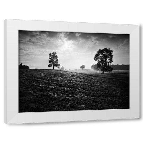 Breaking Light White Modern Wood Framed Art Print by Henson, Martin
