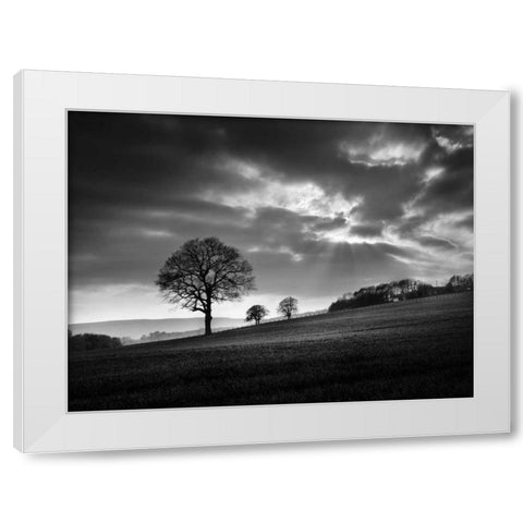 Sundown White Modern Wood Framed Art Print by Henson, Martin