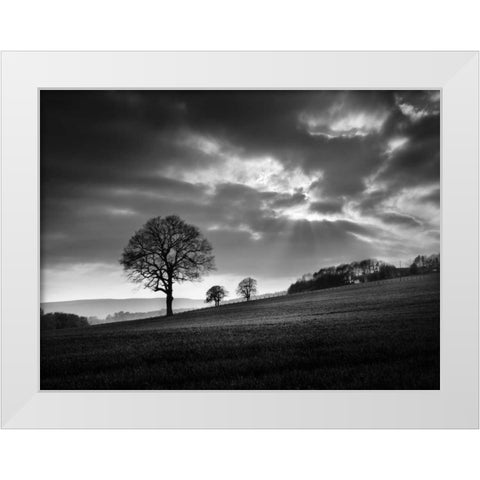 Sundown White Modern Wood Framed Art Print by Henson, Martin