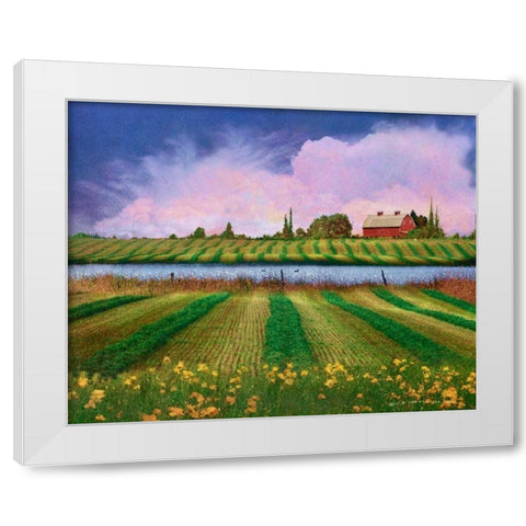 Idyllic Farm II White Modern Wood Framed Art Print by Vest, Chris