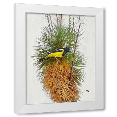 Avian Tropics II White Modern Wood Framed Art Print by Vest, Chris