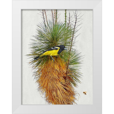 Avian Tropics II White Modern Wood Framed Art Print by Vest, Chris