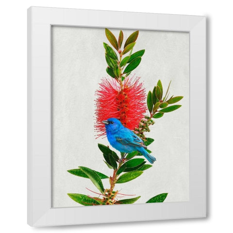 Avian Tropics III White Modern Wood Framed Art Print by Vest, Chris