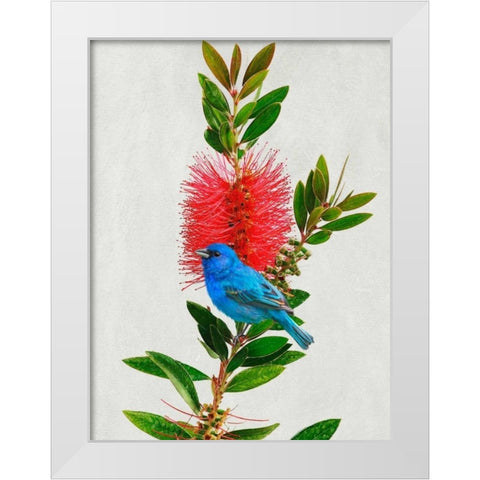 Avian Tropics III White Modern Wood Framed Art Print by Vest, Chris