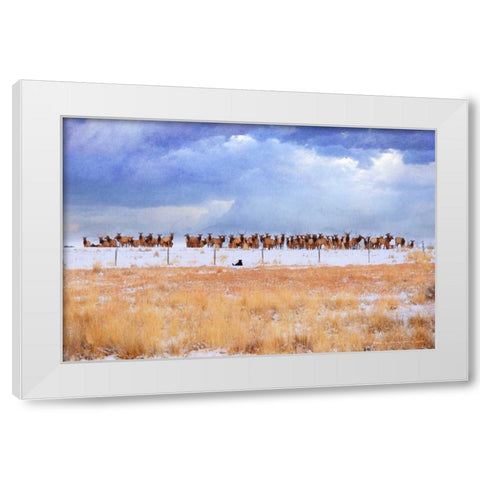 Zippy and the Elk White Modern Wood Framed Art Print by Vest, Chris