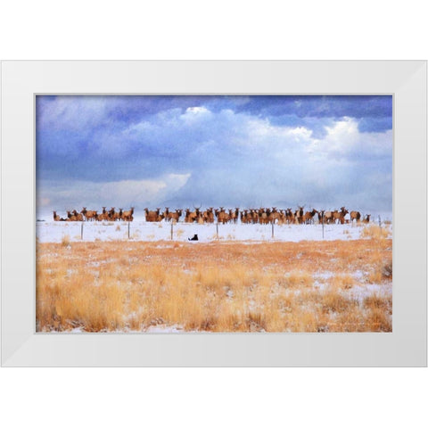 Zippy and the Elk White Modern Wood Framed Art Print by Vest, Chris