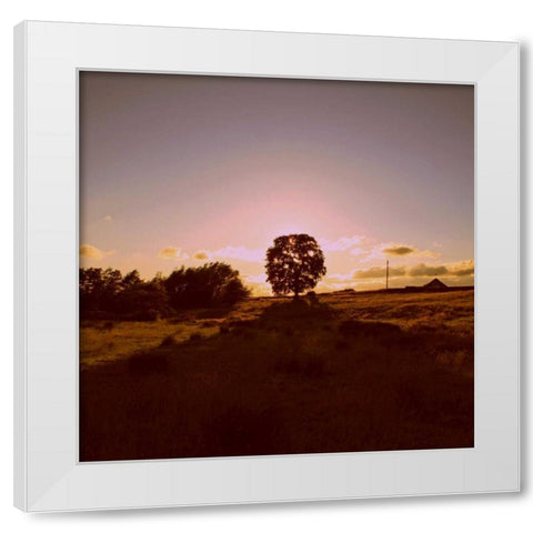 Sunset Field II White Modern Wood Framed Art Print by Bell, Lillian