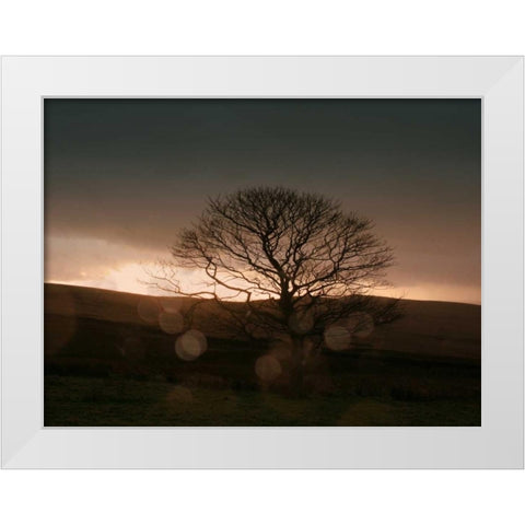 Stormy Sunset II White Modern Wood Framed Art Print by Bell, Lillian