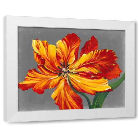 Tulip Portrait I White Modern Wood Framed Art Print by OToole, Tim