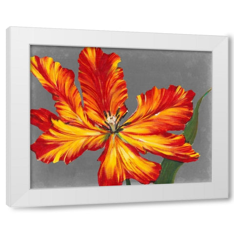 Tulip Portrait II White Modern Wood Framed Art Print by OToole, Tim