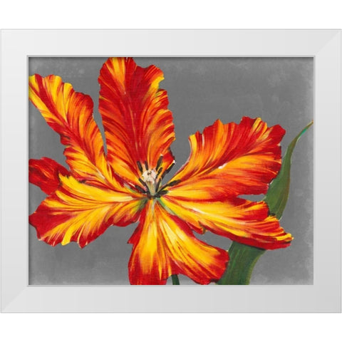 Tulip Portrait II White Modern Wood Framed Art Print by OToole, Tim