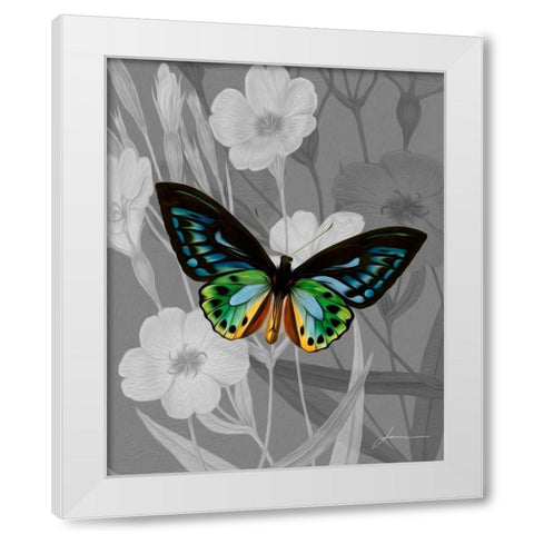 On Display I White Modern Wood Framed Art Print by Burghardt, James