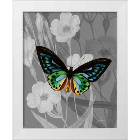 On Display I White Modern Wood Framed Art Print by Burghardt, James