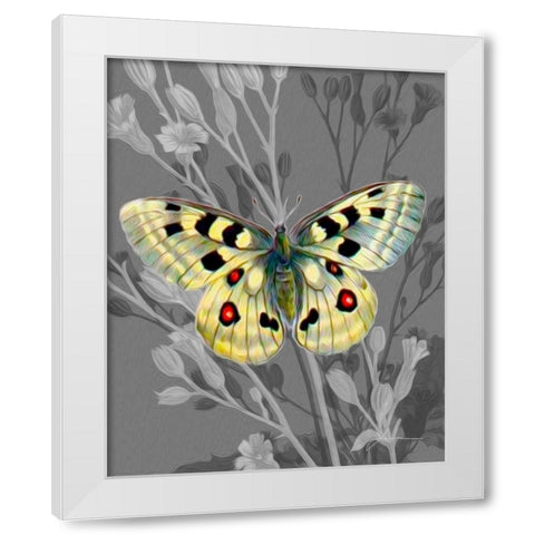 On Display II White Modern Wood Framed Art Print by Burghardt, James