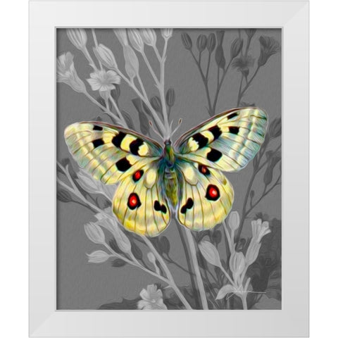 On Display II White Modern Wood Framed Art Print by Burghardt, James