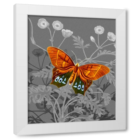 On Display III White Modern Wood Framed Art Print by Burghardt, James