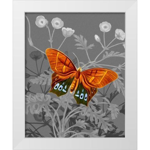 On Display III White Modern Wood Framed Art Print by Burghardt, James