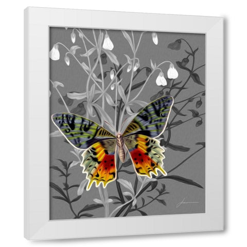 On Display IV White Modern Wood Framed Art Print by Burghardt, James