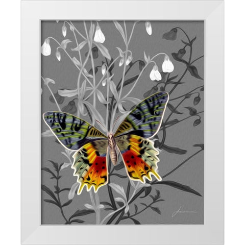 On Display IV White Modern Wood Framed Art Print by Burghardt, James