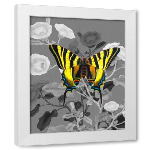 On Display V White Modern Wood Framed Art Print by Burghardt, James