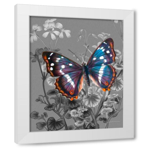 On Display VI White Modern Wood Framed Art Print by Burghardt, James