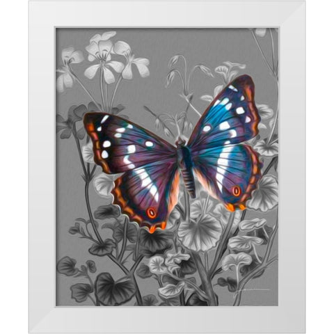 On Display VI White Modern Wood Framed Art Print by Burghardt, James
