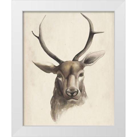 Watercolor Animal Study I White Modern Wood Framed Art Print by Popp, Grace