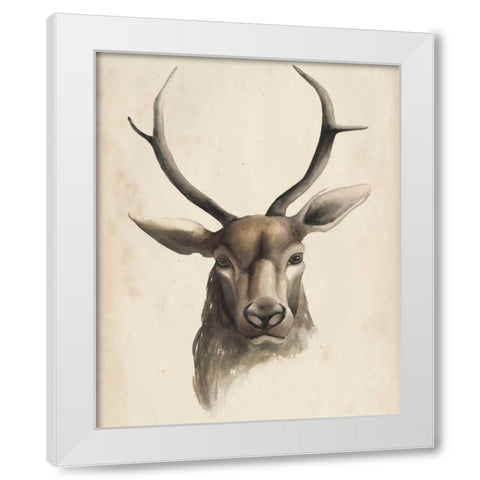 Watercolor Animal Study I White Modern Wood Framed Art Print by Popp, Grace