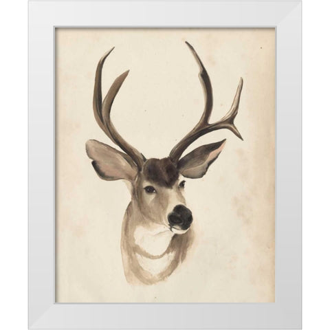 Watercolor Animal Study II White Modern Wood Framed Art Print by Popp, Grace