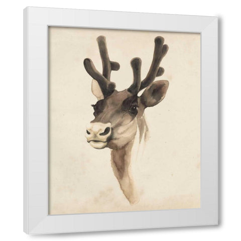 Watercolor Animal Study III White Modern Wood Framed Art Print by Popp, Grace