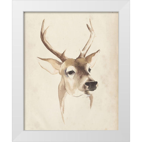 Watercolor Animal Study IV White Modern Wood Framed Art Print by Popp, Grace