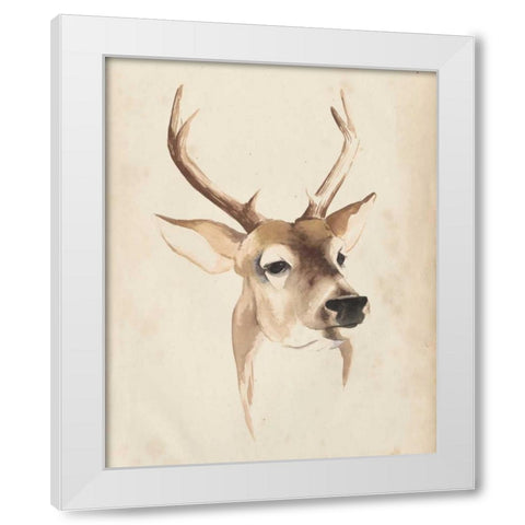 Watercolor Animal Study IV White Modern Wood Framed Art Print by Popp, Grace