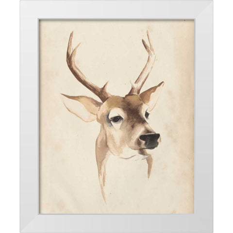 Watercolor Animal Study IV White Modern Wood Framed Art Print by Popp, Grace