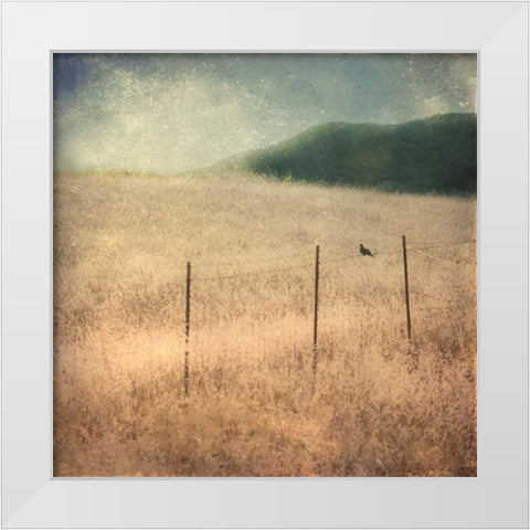 In Country II White Modern Wood Framed Art Print by Malek, Honey