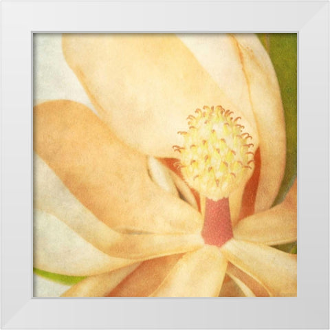 Vintage Magnolia II White Modern Wood Framed Art Print by Malek, Honey