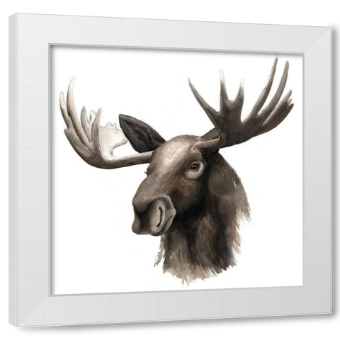 Western Animal Study III White Modern Wood Framed Art Print by Popp, Grace