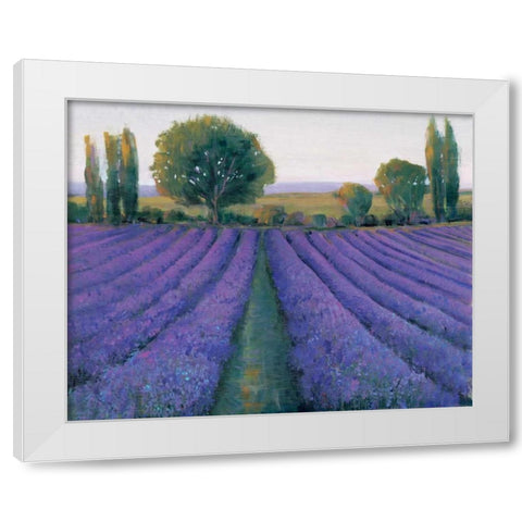 Lavender Field II White Modern Wood Framed Art Print by OToole, Tim