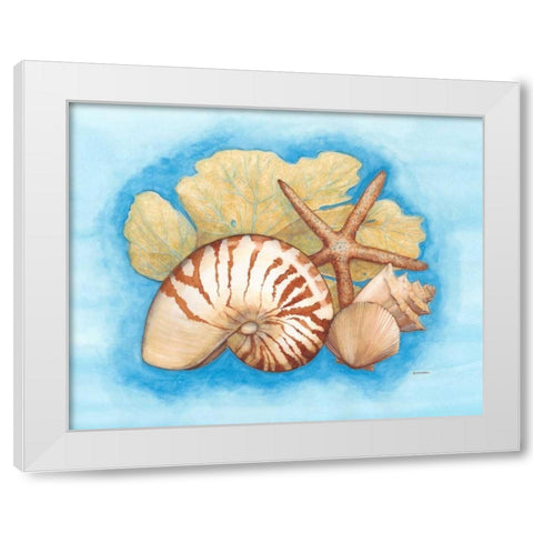 Seashells and Seafan I White Modern Wood Framed Art Print by Russell, Wendy