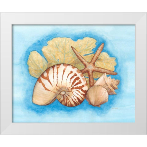Seashells and Seafan I White Modern Wood Framed Art Print by Russell, Wendy