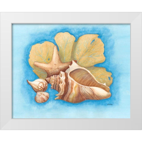Seashells and Seafan II White Modern Wood Framed Art Print by Russell, Wendy