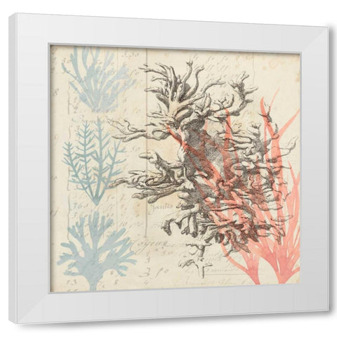 Sea Ephemera IV White Modern Wood Framed Art Print by Popp, Grace