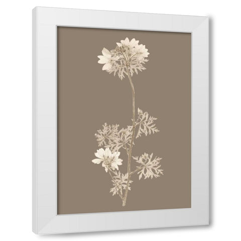 Taupe Nature Study II Custom White Modern Wood Framed Art Print by Vision Studio