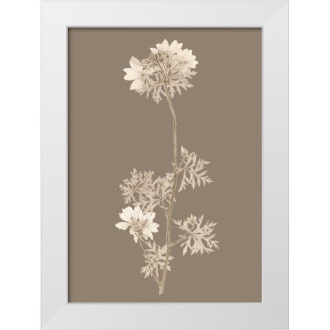 Taupe Nature Study II Custom White Modern Wood Framed Art Print by Vision Studio