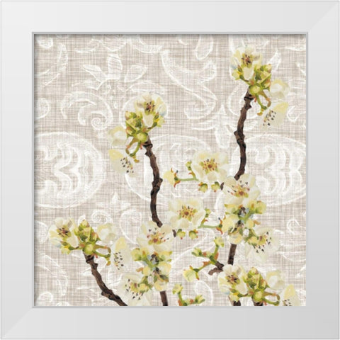 Flower Collection Study E White Modern Wood Framed Art Print by Miller, Diane