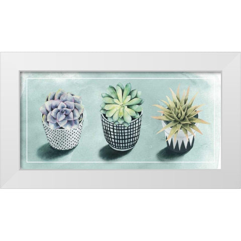 Succulent Love Collection C White Modern Wood Framed Art Print by Popp, Grace