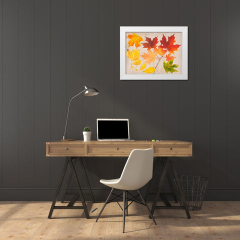 Autumn Leaves Collection A White Modern Wood Framed Art Print by Miller, Dianne