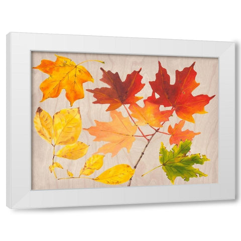 Autumn Leaves Collection A White Modern Wood Framed Art Print by Miller, Dianne