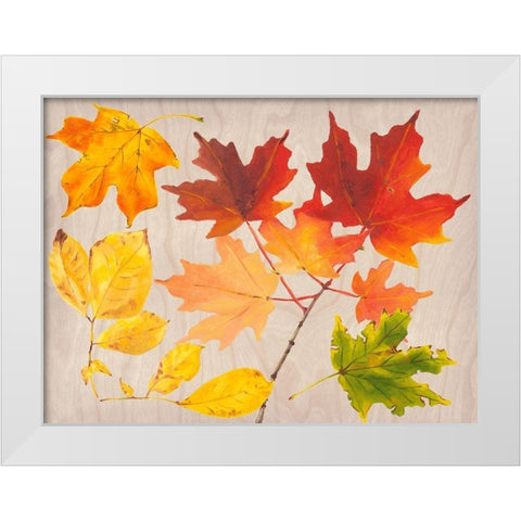 Autumn Leaves Collection A White Modern Wood Framed Art Print by Miller, Dianne